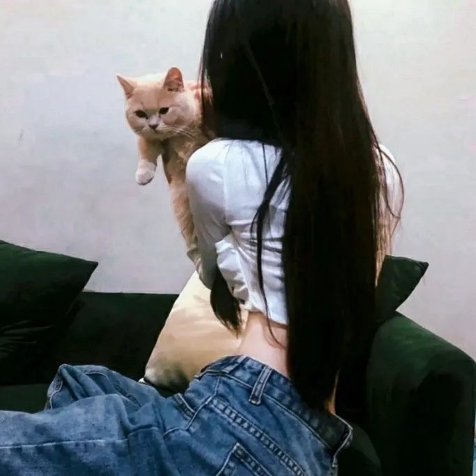 老友记第一季