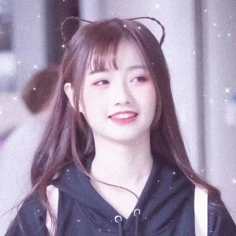 龙公主的冒险